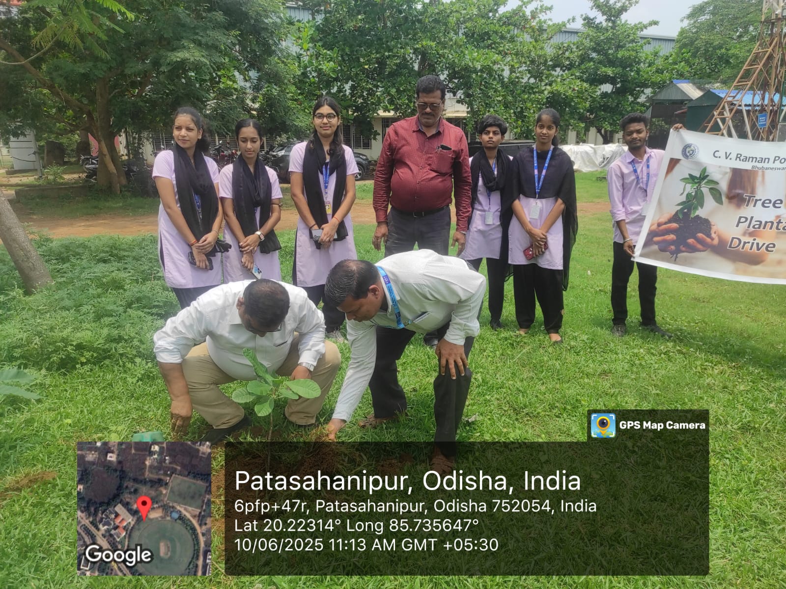 Tree Plantation